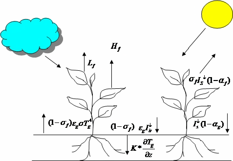 The Energy Balance for a Green Roof. [fig:the-energy-balance-for-a-green-roof.]