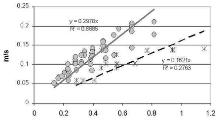 Average velocity in the recirculation region.